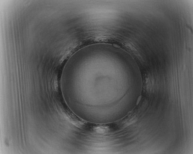 X0000100880508200806271141