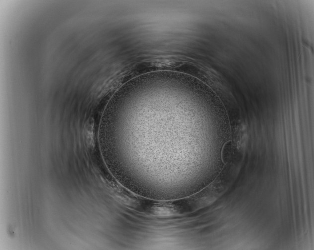 X0000100880510200806271141