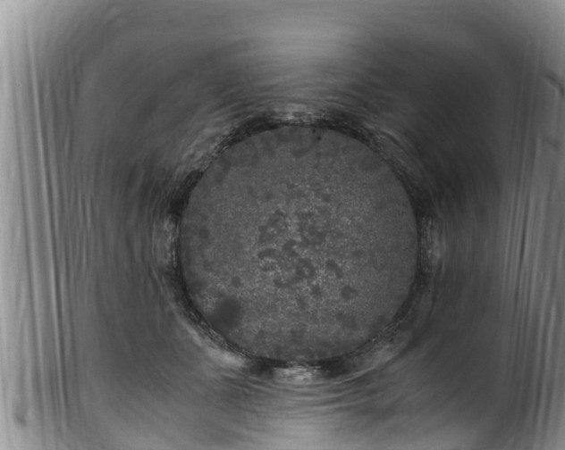 X0000100880511200806271141