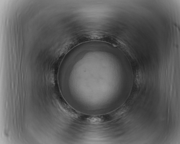 X0000100880512200806271141