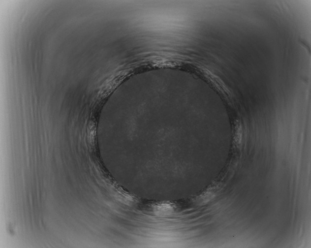 X0000100880513200806271141