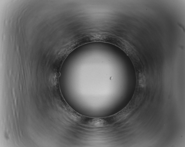 X0000100880514200806271141