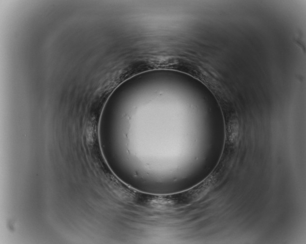 X0000100880515200806271141