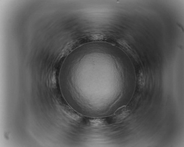 X0000100880516200806271141