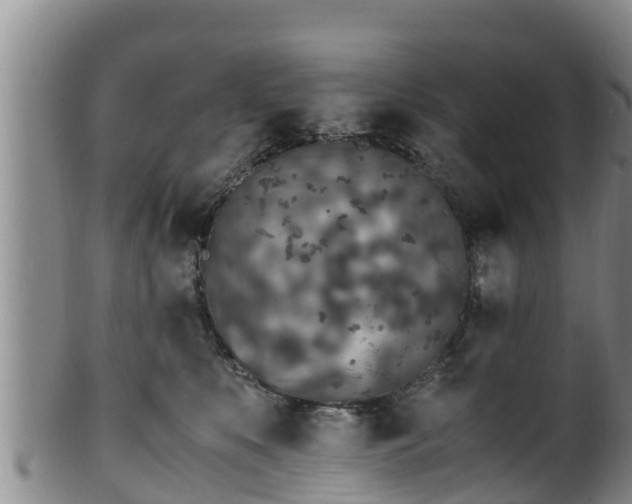 X0000100880519200806271141