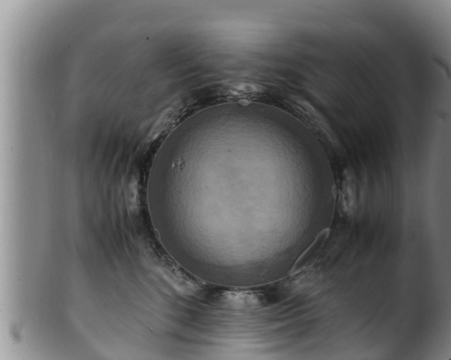 X0000100880520200806271141