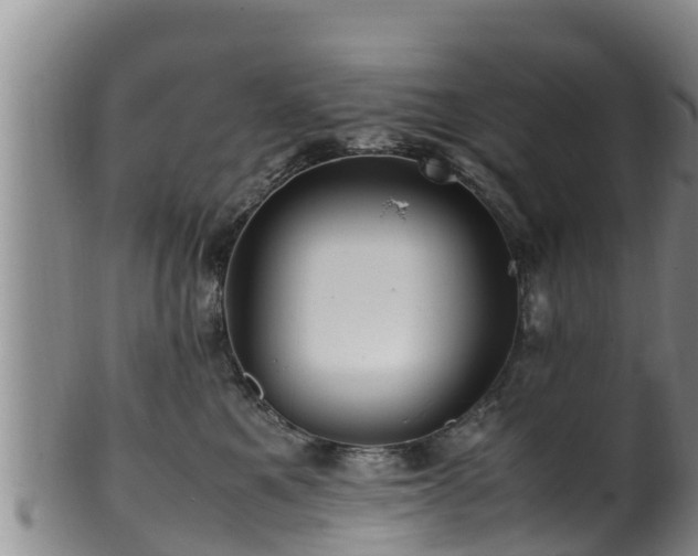 X0000100880521200806271141