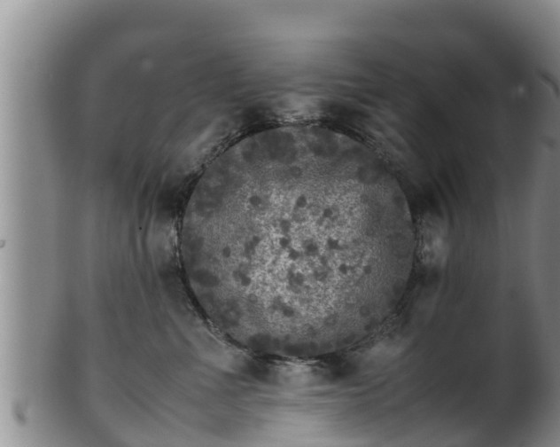 X0000100880523200806271141