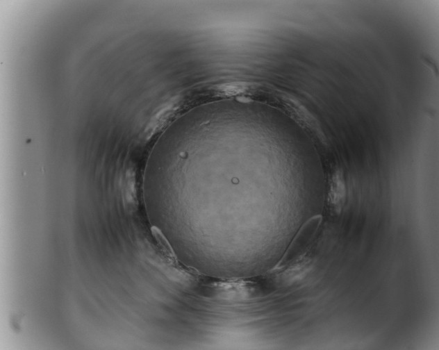 X0000100880524200806271141