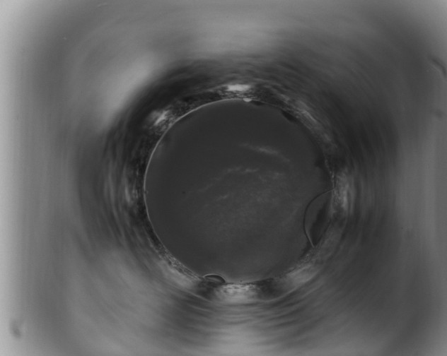 X0000100880526200806271141