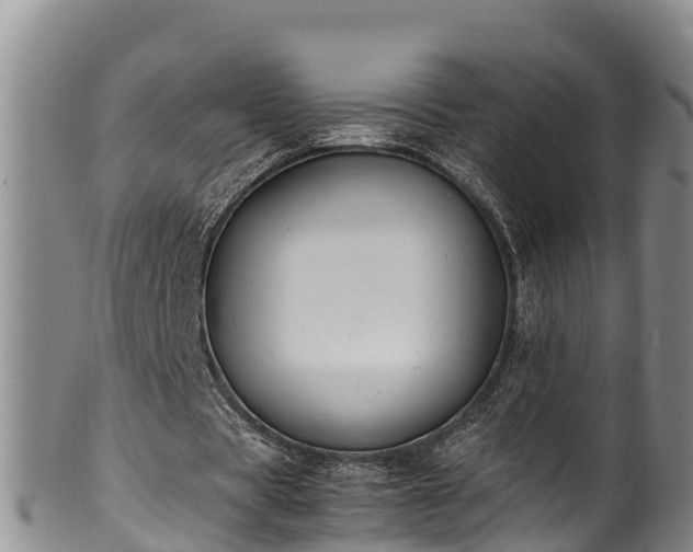 X0000100880529200806271140