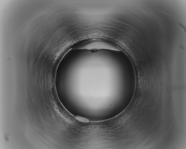 X0000100880530200806271140