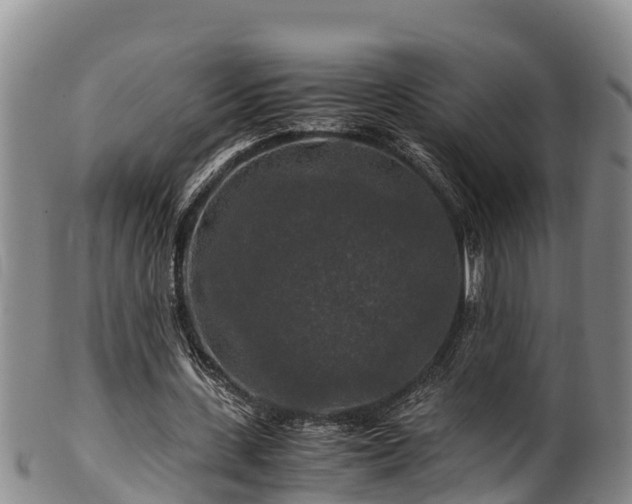 X0000100880531200806271140