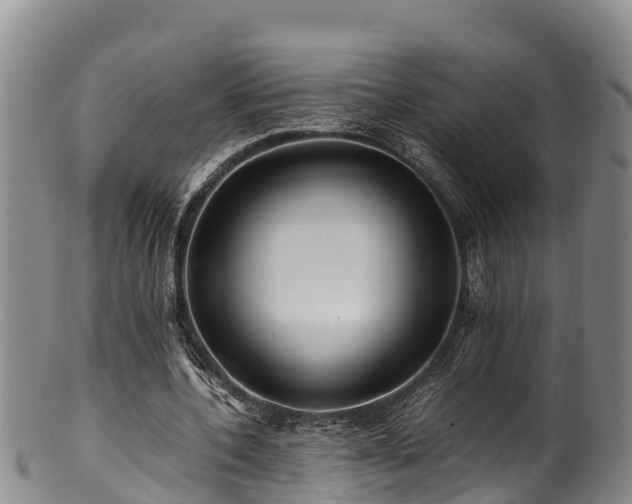 X0000100880532200806271140