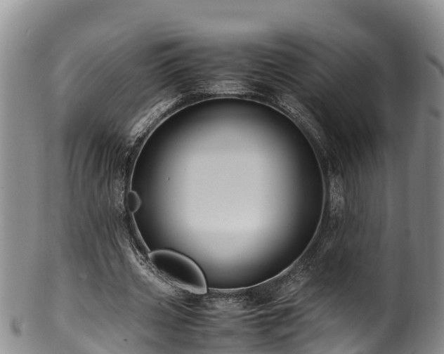 X0000100880533200806271140