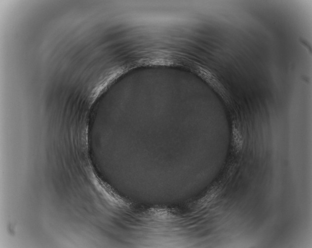 X0000100880534200806271140