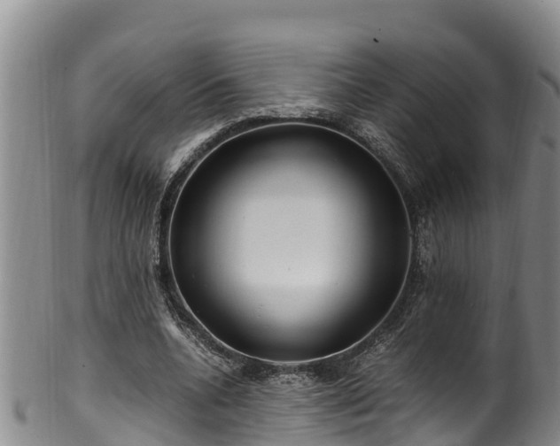 X0000100880536200806271140