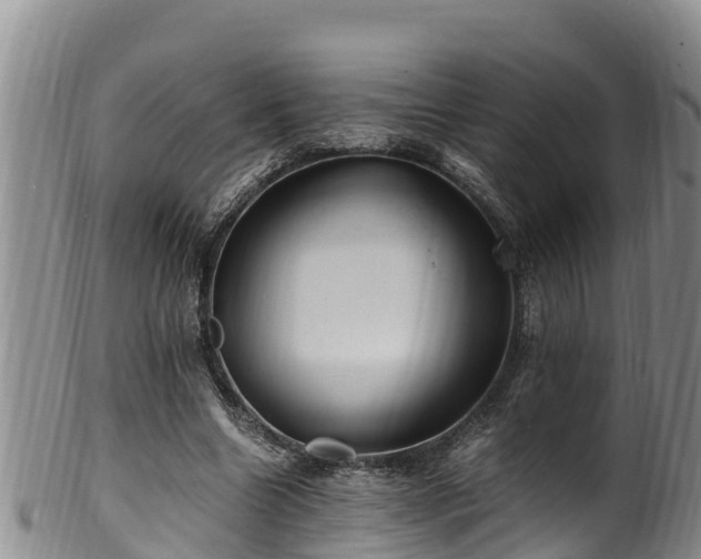 X0000100880538200806271140