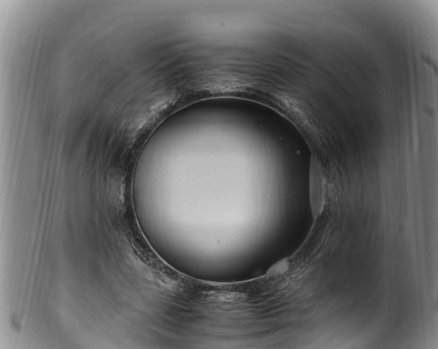 X0000100880539200806271140