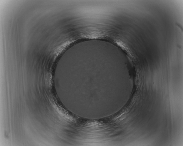 X0000100880540200806271140