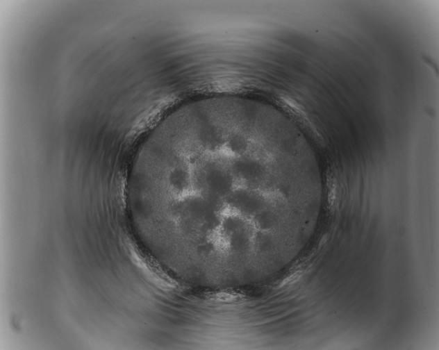 X0000100880542200806271140