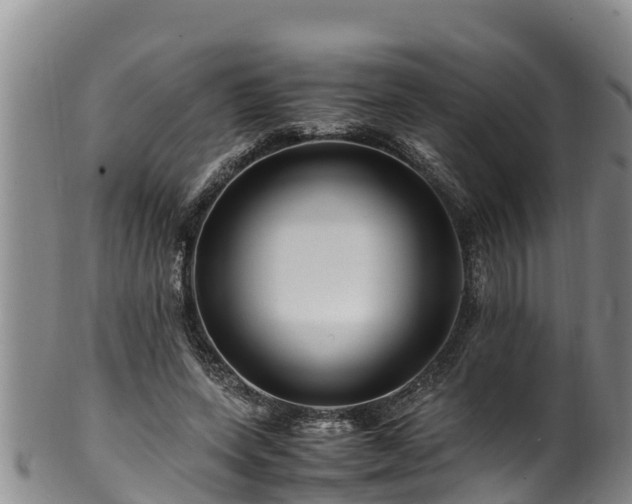 X0000100880543200806271140