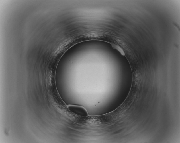 X0000100880544200806271140