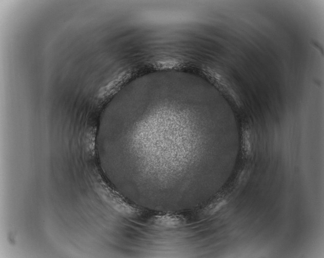 X0000100880545200806271140