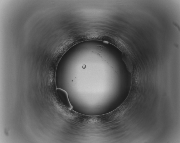 X0000100880546200806271140