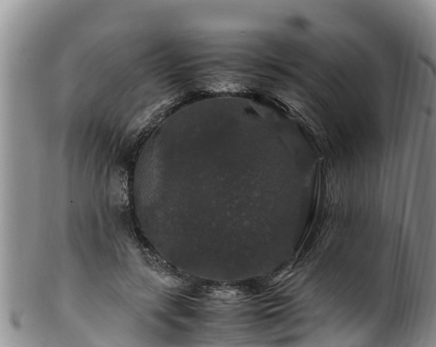 X0000100880547200806271140