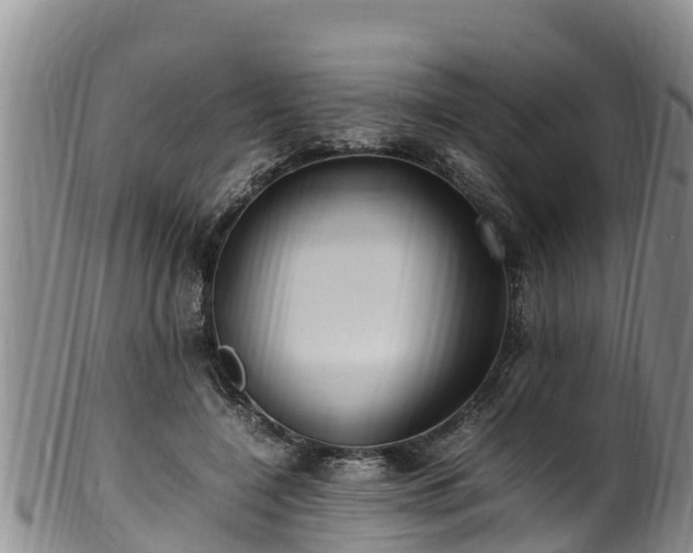 X0000100880548200806271140