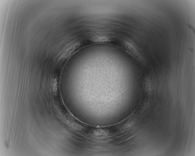 X0000100880549200806271140