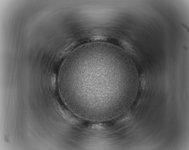 X0000100880550200806271140