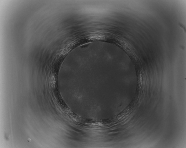 X0000100880551200806271140