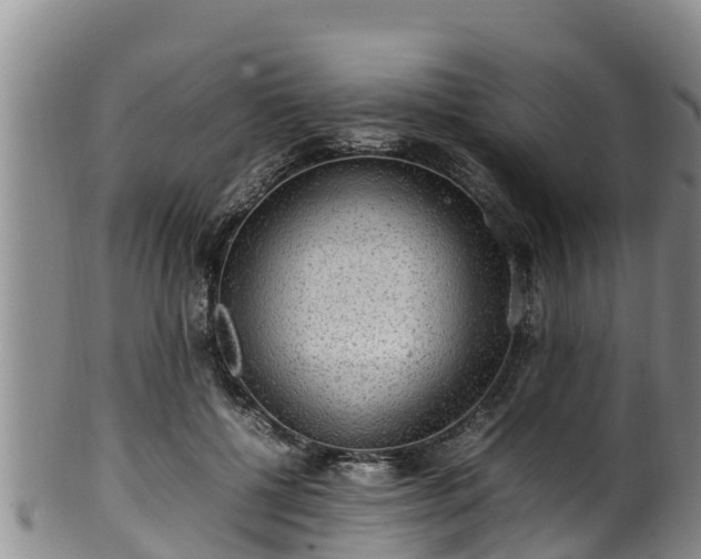 X0000100880552200806271140