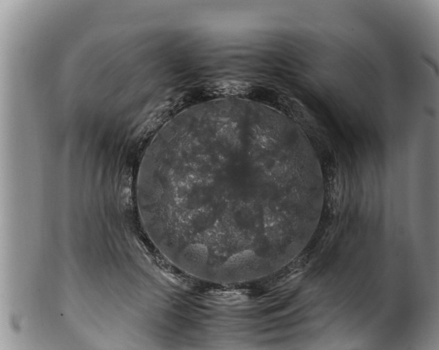 X0000100880553200806271140