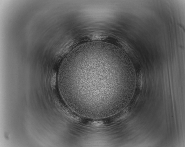 X0000100880554200806271140