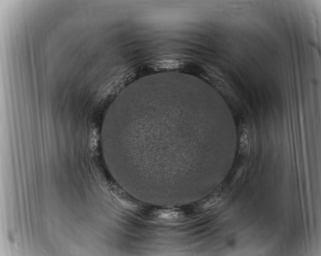 X0000100880555200806271140