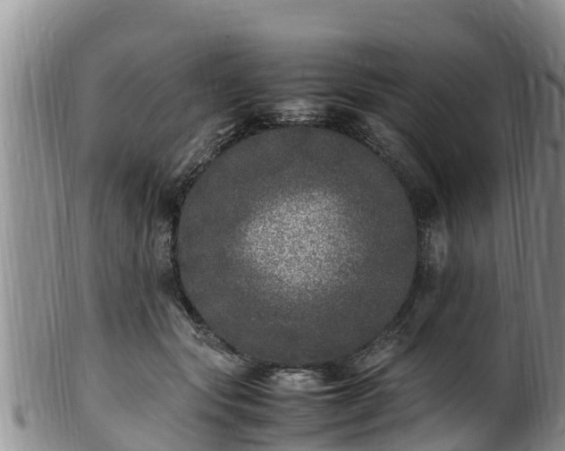 X0000100880557200806271140