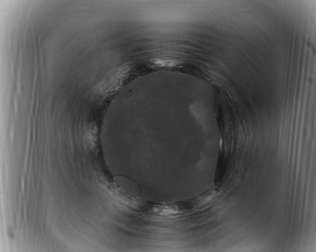 X0000100880559200806271140