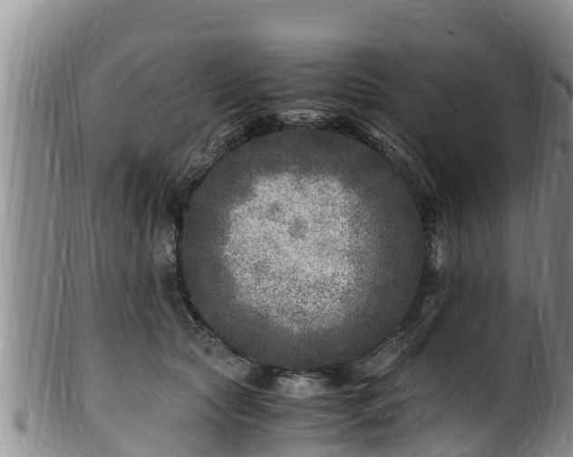 X0000100880561200806271140