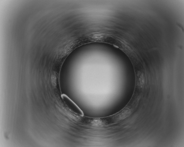 X0000100880562200806271140