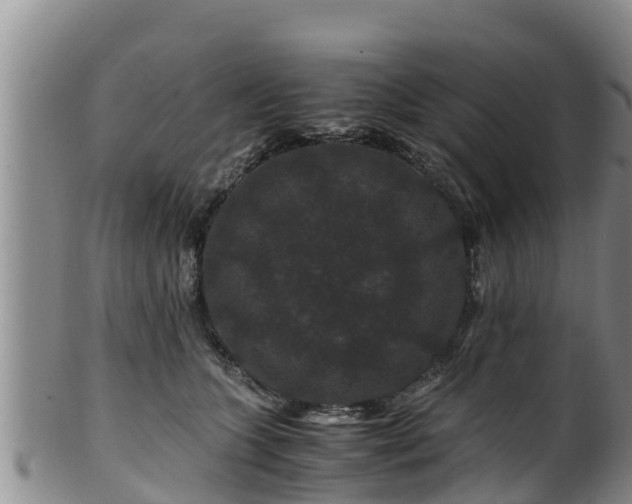 X0000100880563200806271140