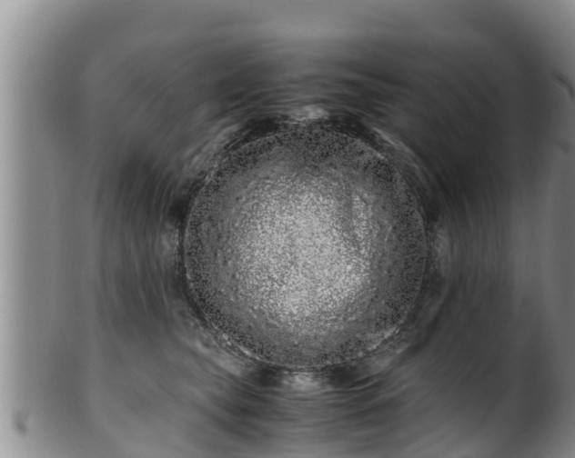 X0000100880565200806271140