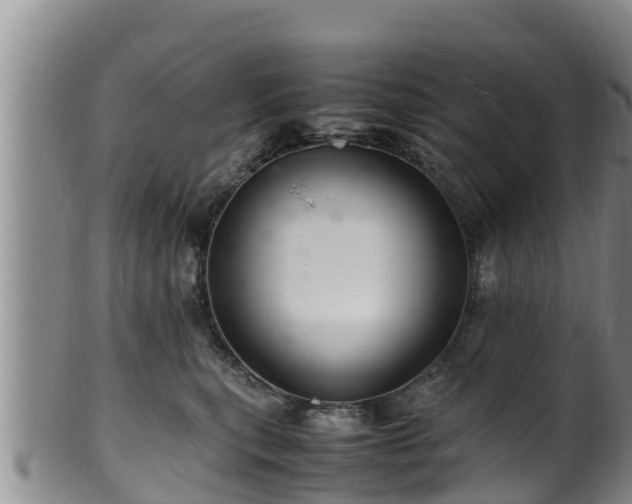 X0000100880567200806271140