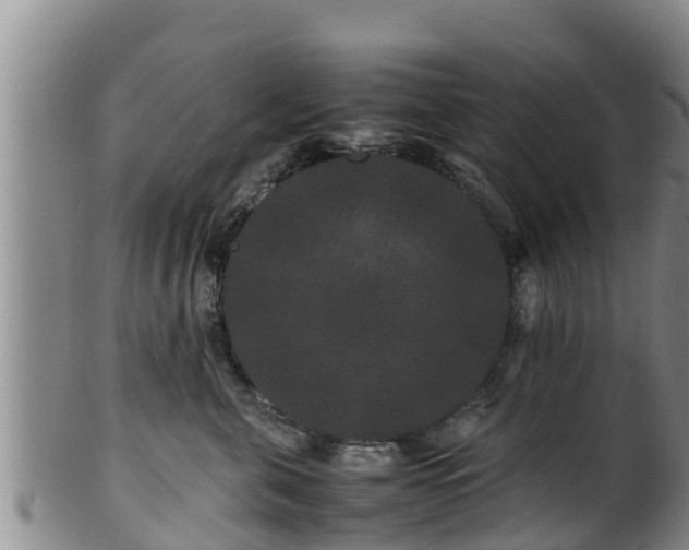 X0000100880571200806271140