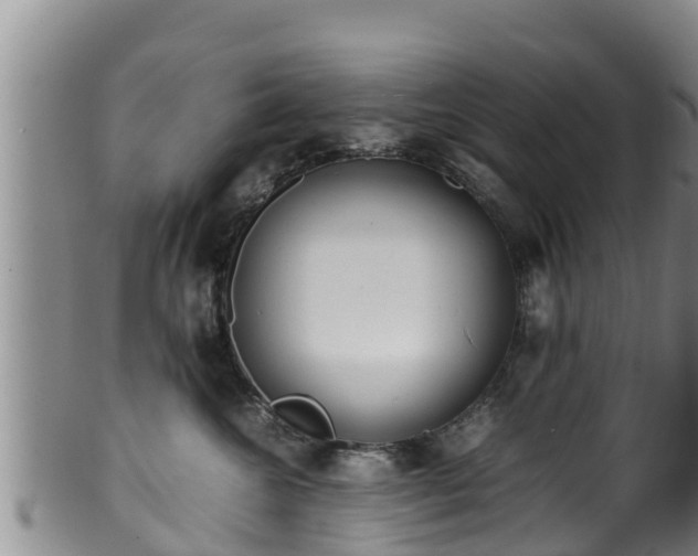 X0000100880572200806271140