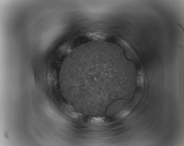 X0000100880573200806271140