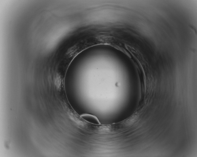 X0000100880574200806271141