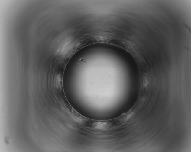 X0000100880575200806271141